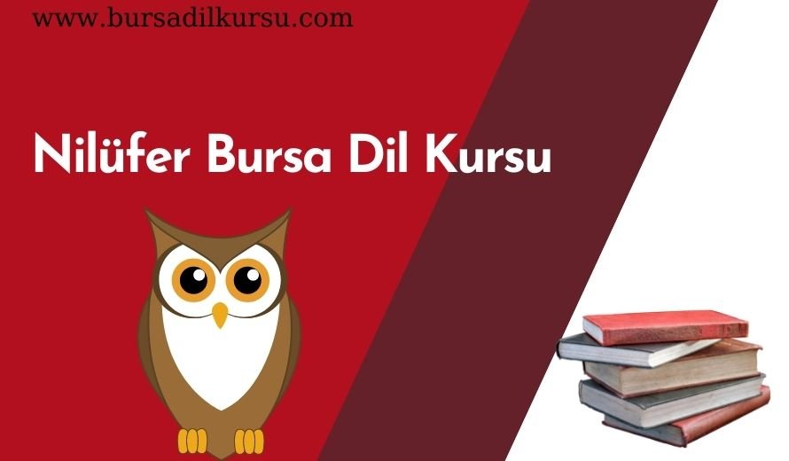 Nilüfer Bursa Dil Kursu