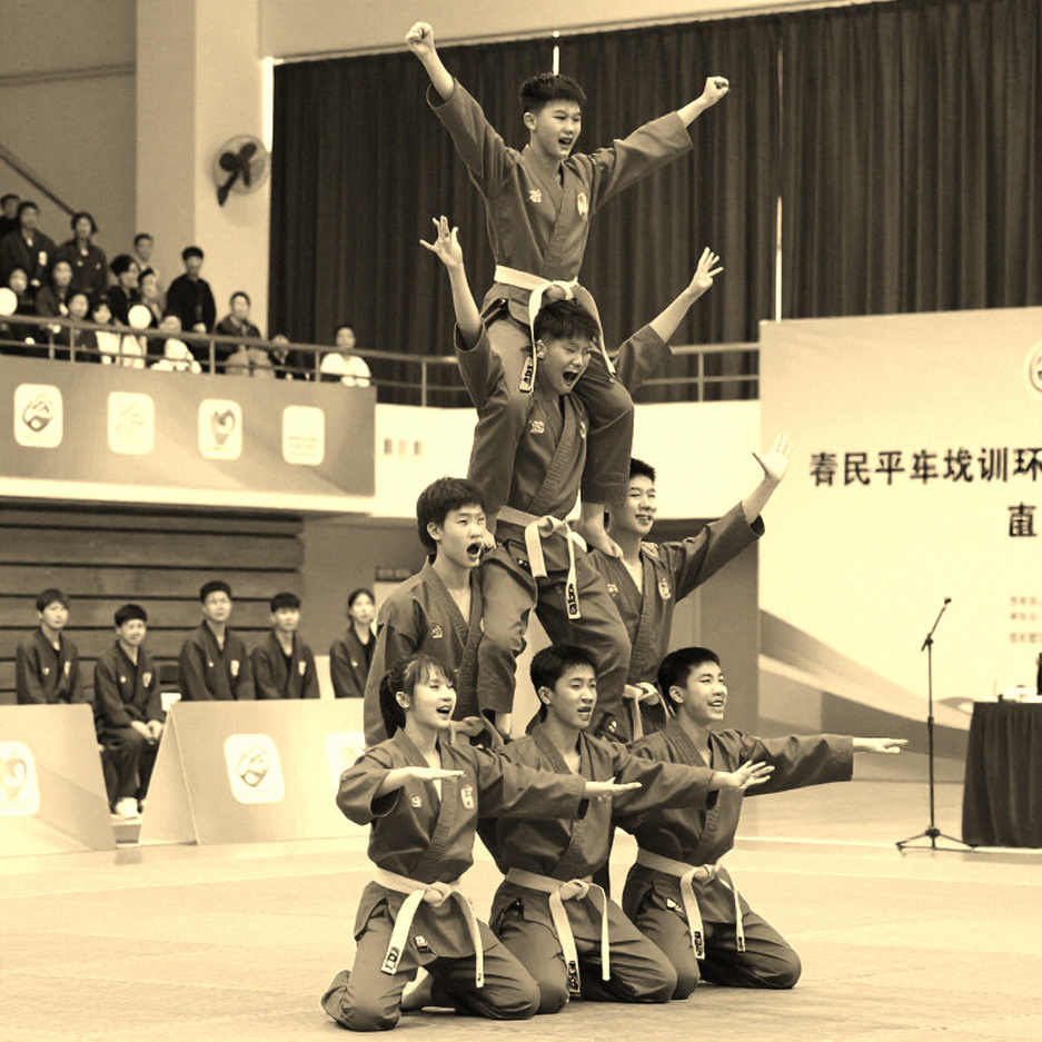 Vietnam's Three Martial Arts Families and the Trap of a Single Yardstick Vietnam's Three Martial Arts Families and the Trap of a Single Yardstick