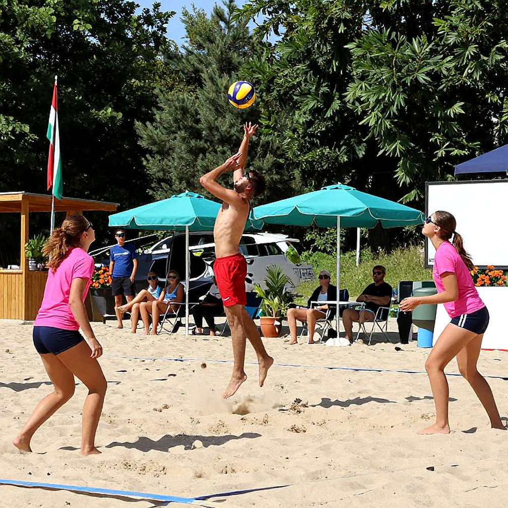 Danh sách MOP bóng chuyền nữ NCAA 2026-2026: Sổ ghi tên và cấu trúc quyền lực thật sự của bóng chuyền Mỹ Danh sách MOP bóng chuyền nữ NCAA 2026-2026: Sổ ghi tên và cấu trúc quyền lực thật sự của bóng chuyền Mỹ