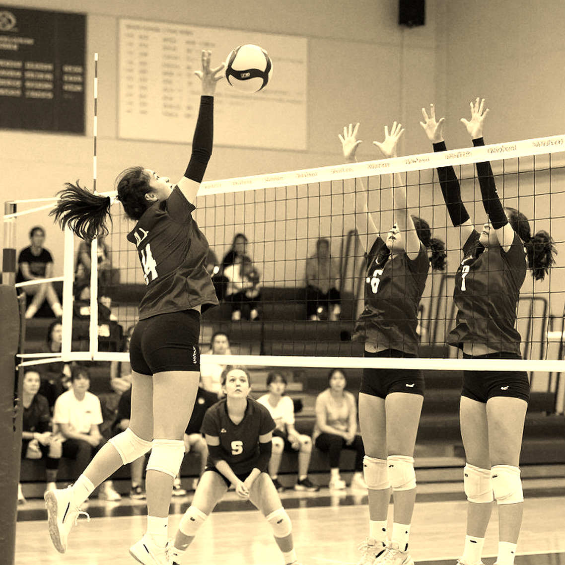 108-108: USA vô địch NORCECA lần thứ 11 bằng hai điểm cuối cùng 108-108: USA vô địch NORCECA lần thứ 11 bằng hai điểm cuối cùng